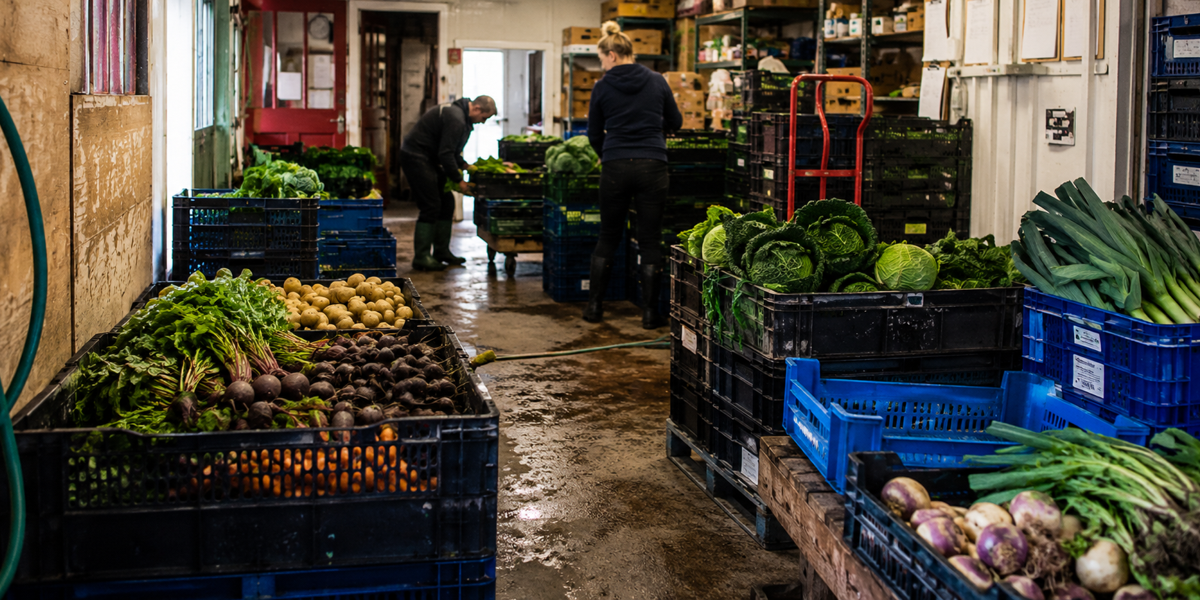 Food Production & Farm Shops
