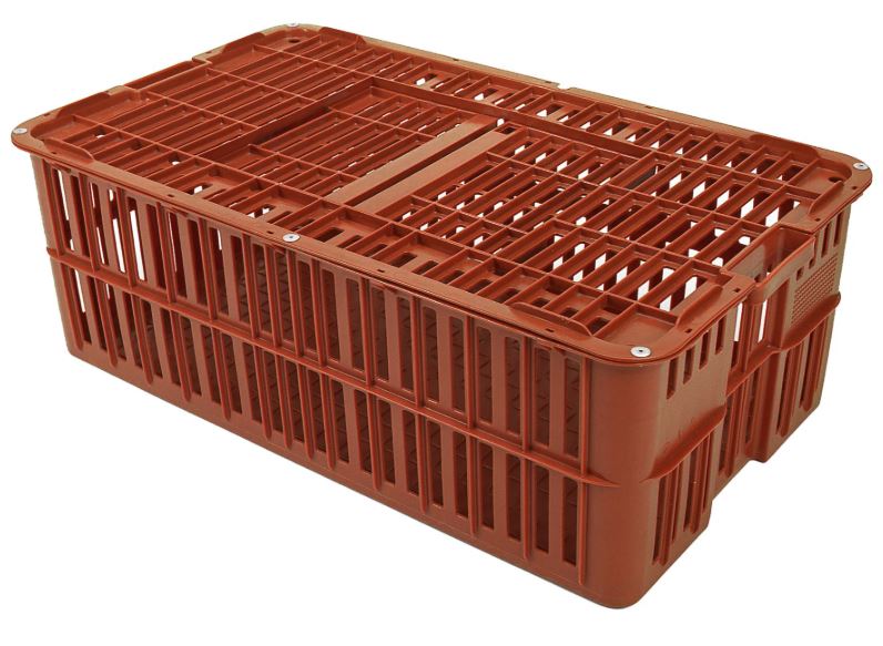 *Pallet of 50* Chicken Transport Crate