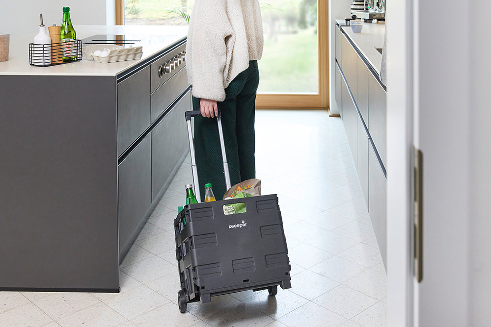 Foldable Trolley - (Telescopic Handle)  65L